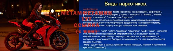 ГАЛЛЮЦИНОГЕННЫЕ ГРИБЫ Белоозёрский