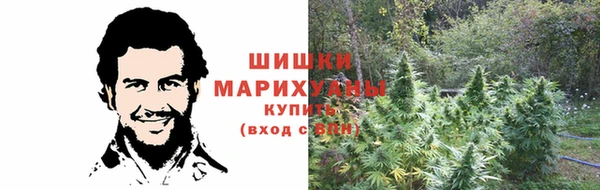 ГАЛЛЮЦИНОГЕННЫЕ ГРИБЫ Белоозёрский