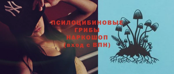 бошки Беломорск