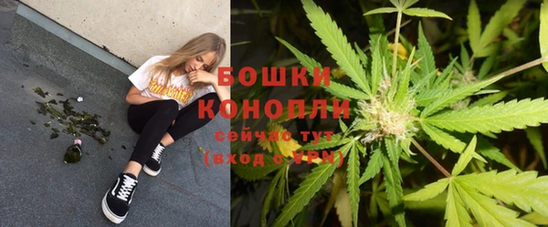 ГАЛЛЮЦИНОГЕННЫЕ ГРИБЫ Белоозёрский