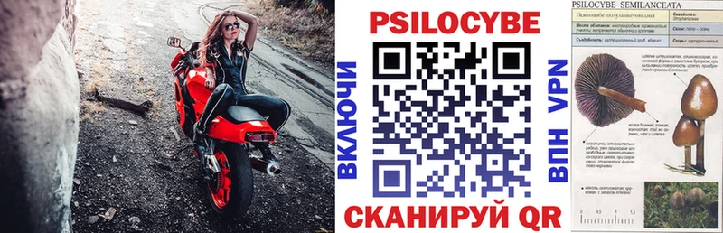 Псилоцибиновые грибы Cubensis  Маркс 