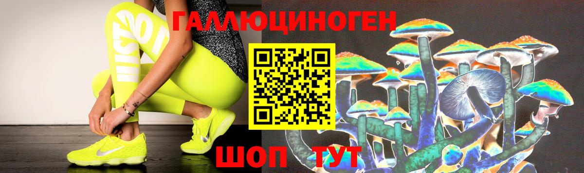 Маркс  Галлюциногенные грибы Psilocybe  Вход с VPN 